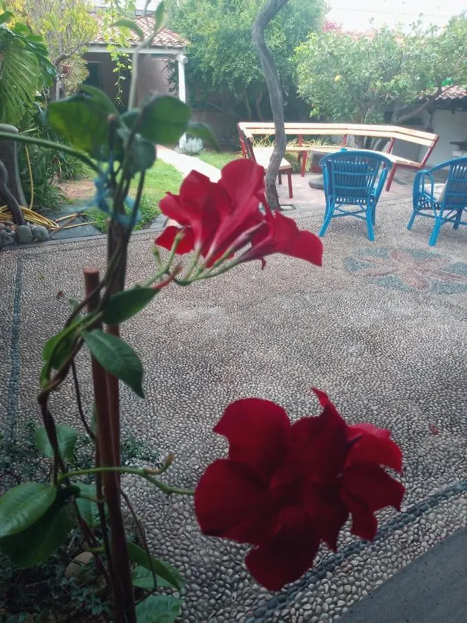 Agriturismo Il Melograno Riola Sardo 0*,