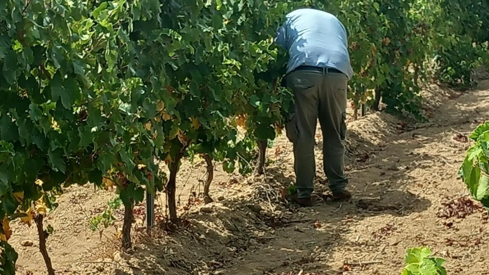 Alloggio per agriturismo Agriturismo Il Melograno Riola Sardo Italia